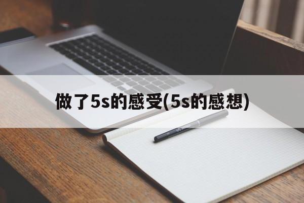 做了5s的感受(5s的感想)